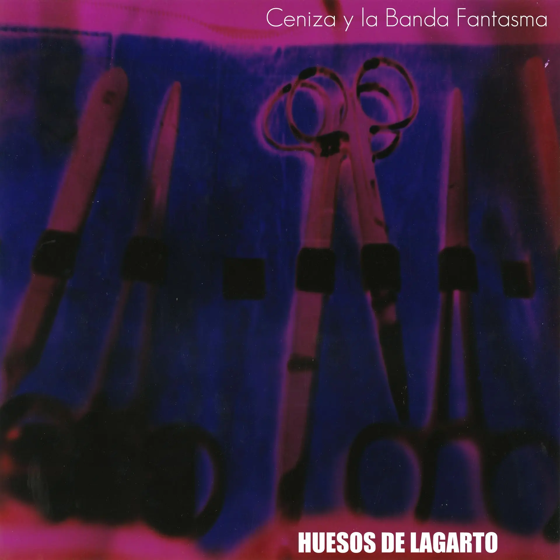 banda fantasma - huesos de lagarto.webp